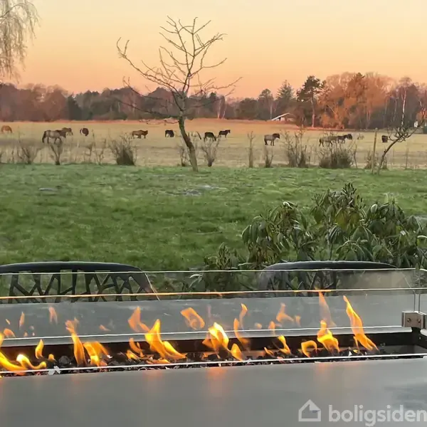 En gaspejs brænder i forgrunden, mens flere heste græsser på en stor eng i baggrunden ved solnedgang. Græsplæne og træer omgiver området.