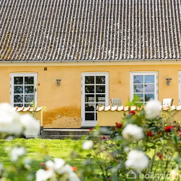 Hus med gul facade og hvide vinduer, spejler sig i en have fyldt med blomstrende roser. Græsplænen og de farverige blomster skaber en idyllisk atmosfære foran bygningen.