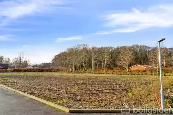 En pløjet mark ligger stille ved siden af en asfaltvej, omgivet af skov med tætte, bladløse træer under en klar, blå himmel. En enkelt lygtepæl står ved vejkanten.