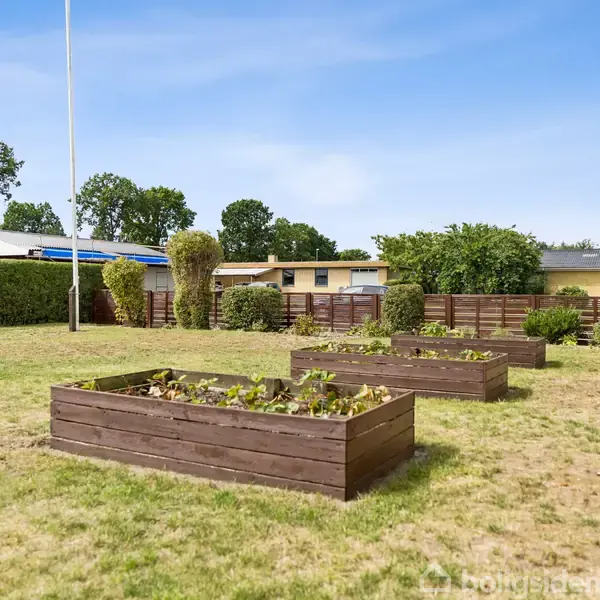 Hævede træbede fyldt med planter står på en græsplæne. Nærliggende er en flisebelagt bygning og en lav hæk. Flere træer står i baggrunden under en blå himmel.