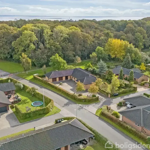 Boligområde med enfamiliehuse omgivet af en frodig skov. Nogle huse har haver med trampoliner. Vejene er stille og velholdte. Skoven står i efterårsfarver nær en klar himmel.