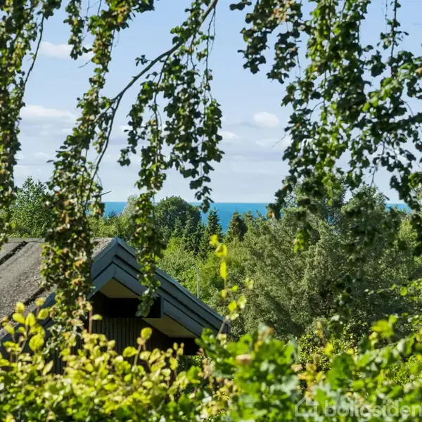 Tagbeklædning ses blandt grønne træer og buske, mens blå himmel og hav kan skimtes i baggrunden. Store hængende grene danner en ramme.