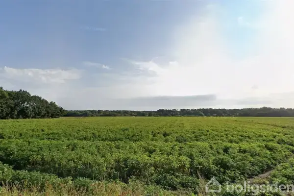 Planteavlsgård/-jord på Tosmosevej 14, 7400 Herning