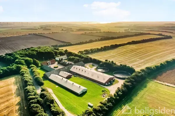 Svinegård/-jord på Brogårdsvej 3, 7755 Bedsted Thy