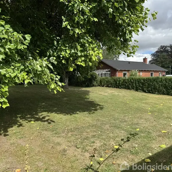 Græsplæne omgivet af hække. I baggrunden ses et rødt hus med sort tag. Store grønne træer over hækken i venstre side. Sollys skaber skygger på jorden.