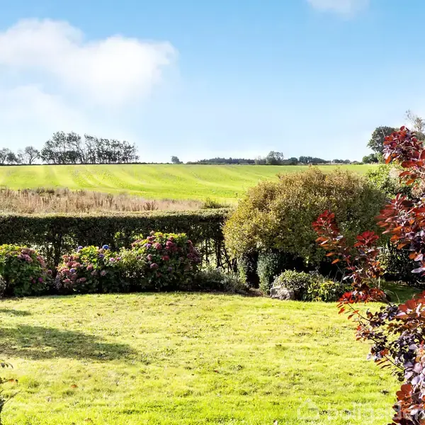En grøn græsplæne omkranset af buske og træer, med en udsigt til åbne marker og en blå himmel i baggrunden, giver en fredfyldt haveomgivelse.