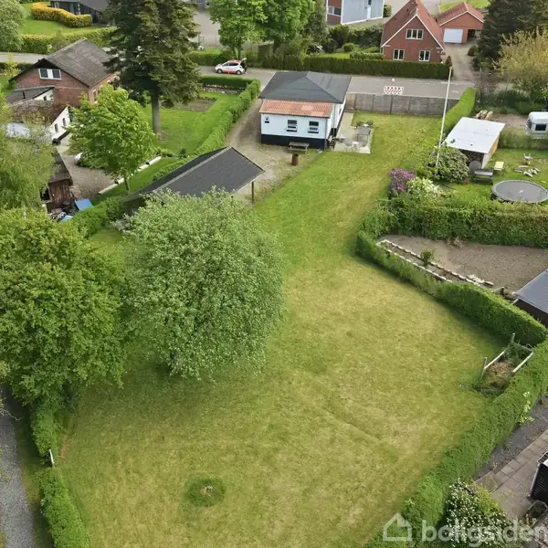 Græsplæne med et stort træ står i midten af en have; omgivet af huse og småbygninger i et villakvarter. Trampolin og terrasse ses i baggrunden.