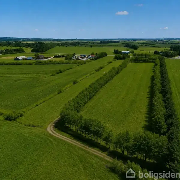 En stor, grøn mark omkranset af træer ligger i landligt område under en klar blå himmel. I baggrunden ses bygninger og skove.