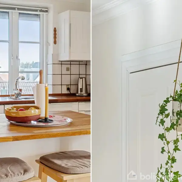En køkkenbordplade i træ med skåle og papirholder, omgivet af taburetter med puder. Ved siden af hænger en potteplante i en snor fra loftet foran en hvid væg.