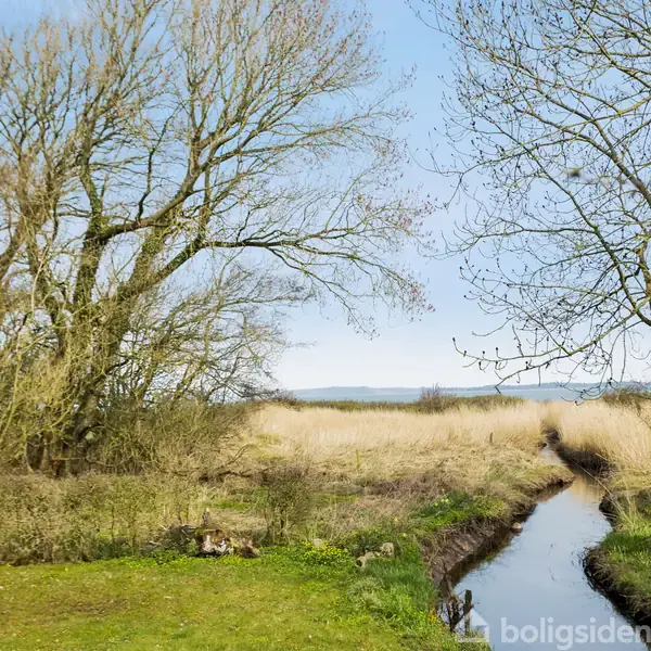 Bæk snor sig gennem en eng med tørre siv. Omkring bækken står nøgne træer, mens græsset omkring er grønt. Baggrunden indeholder skov og en blå himmel.