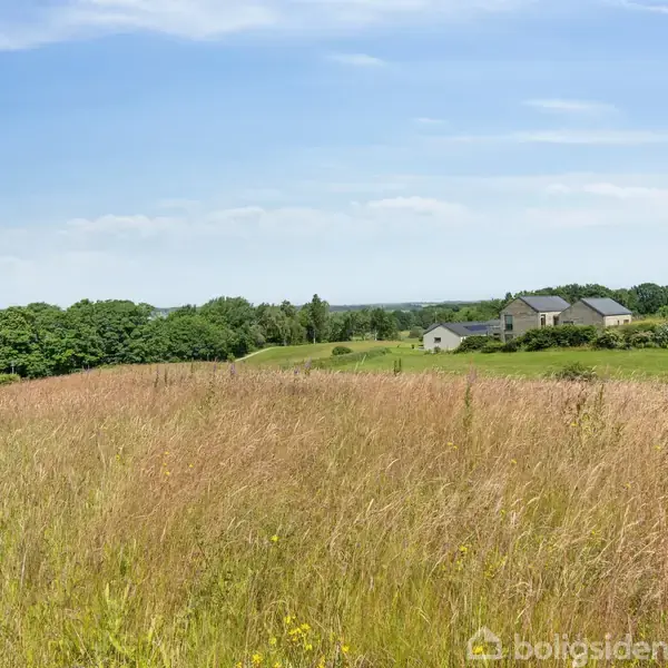 Et stort felt med højt græs står stille under en klar blå himmel. I baggrunden findes huse og træer, der spreder sig over horisonten.