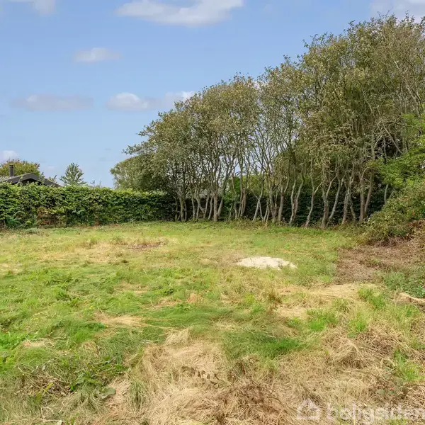 En åben græsplæne med spredt vegetation omgivet af en lav hæk og en række træer til højre. Himlen er overskyet med spredte skyer. Ingen tekst er til stede.