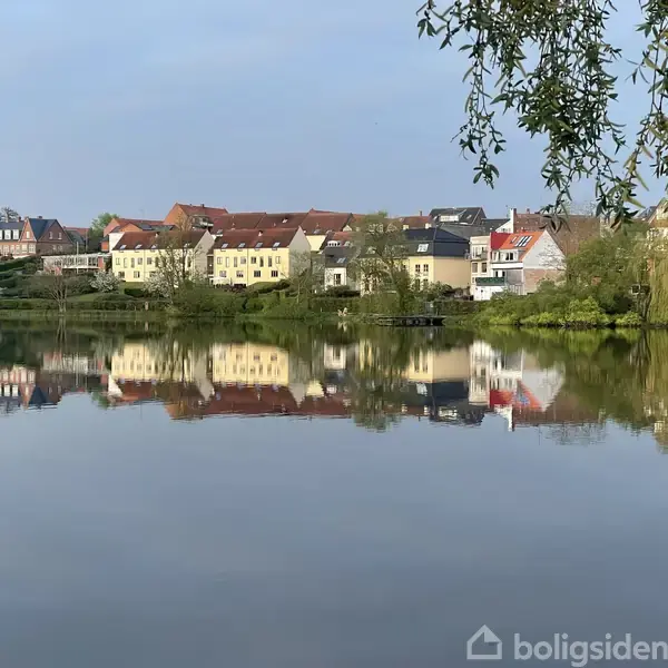 Række af farverige huse spejler sig i en rolig sø omgivet af frodig vegetation og grene, der hænger ned fra træerne i forgrunden.