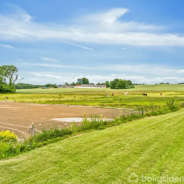 Grøn mark med kortklippet græs løber langs et hegn. I baggrunden ses flere heste græsse på en stor mark under en klar, blå himmel.