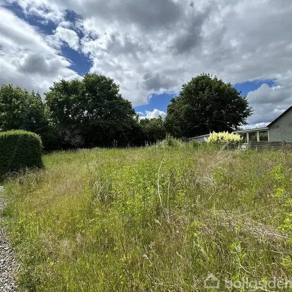 En grusvej fører op til en overgroet græsmark omkranset af buske og træer, ved siden af en grå bygning med skråt tag under en overskyet himmel.