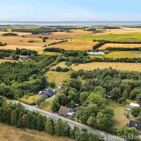 Landskab med marker og skove omgiver flere små bygninger langs en vej. En vindmølle ses i baggrunden under en klar himmel.
