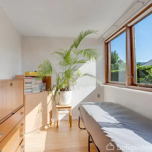 En seng står ved vinduet, der lader meget lys ind i rummet. Ved siden af er en stor grøn plante placeret på en stol ved en kommode fyldt med bøger.