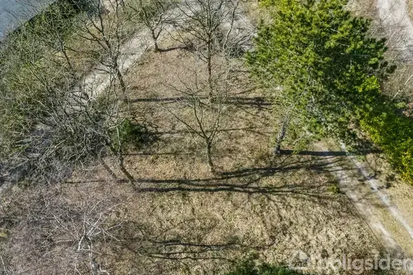 Træer kaster lange skygger på en tør græsplæne i et skovområde med sparsomme stier omkring.