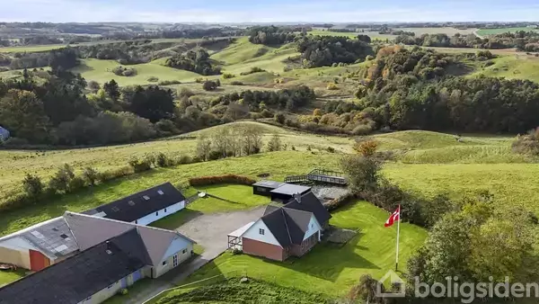Gårde er omringet af bølgende grønne bakker i en landlig dal, hvor en dansk flagstang står i forgrunden, mens klare marker udgør baggrunden.