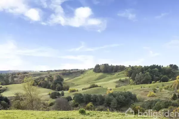 Grønne bakker strækker sig gennem landskabet med spredte træer og buske, mens blå himmel og lette skyer hænger over det rolige, naturlige miljø.