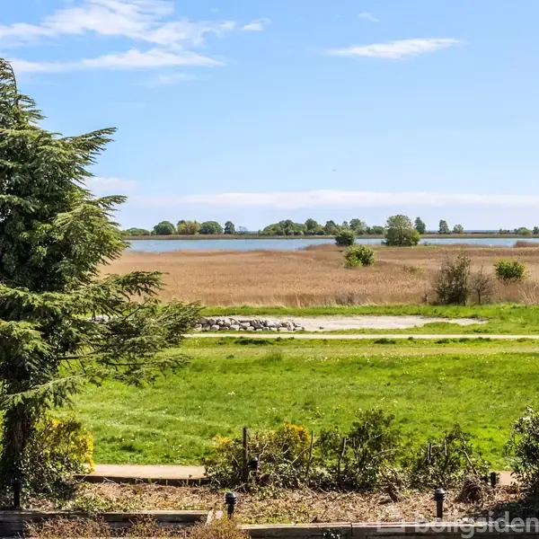 Et stort grønt træ står stille i en frodig have. I baggrunden strækker en sø og siv sig under en blå himmel med spredte skyer.