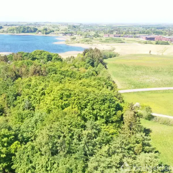 Køkkenø med komfur og emhætte dominerer moderne stue-køkken-alrum. Rummet har skrå trælofter, store vinduer, spisebord med sorte stole og lyse trægulve, med udsigt til skov udenfor.