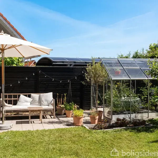 Træbænk under parasol står på flisebelagt terrasse med puder ved siden af et drivhus. Omgivet af blomsterkrukker og græsplæne, alt ved siden af et hus med mørkt stakit.