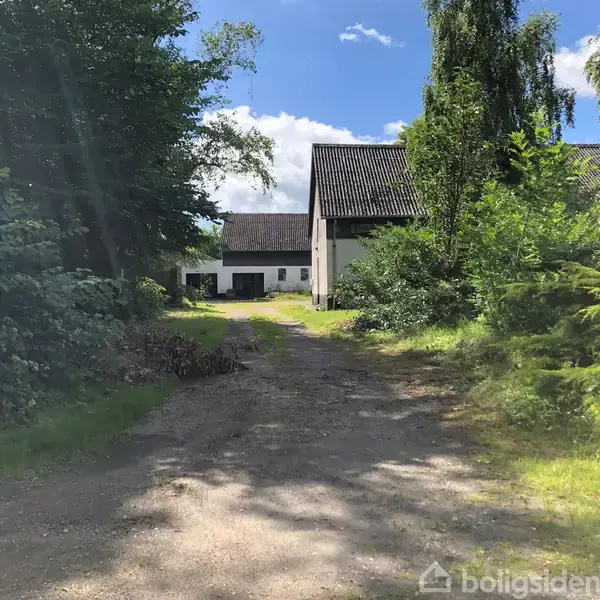 En grusvej fører til en hvid lade, omgivet af tæt bevoksning og træer, under en blå himmel med spredte skyer.