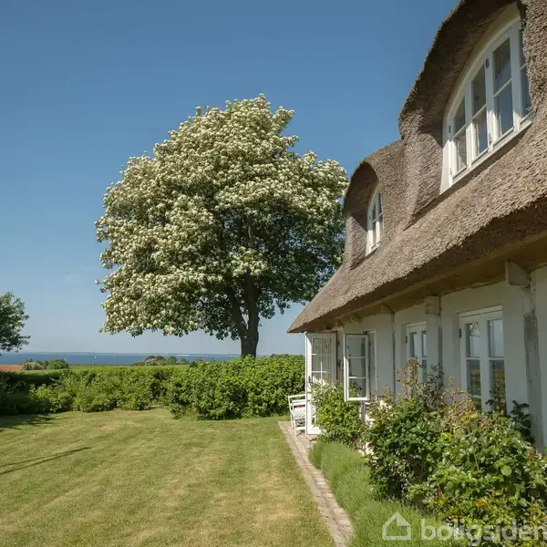 Stråtækt hus med åbne vinduer ved siden af et stort blomstrende træ i en frodig have. I baggrunden ses en klar blå himmel og udsigt over havet.