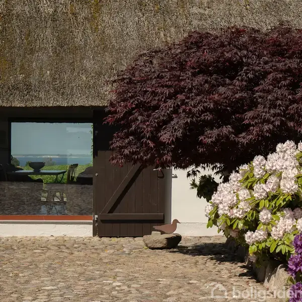 En brun dør åbner mod en brostensbelægning, omgivet af en stor rød busk og blomstrende hvide blomster. Gennem et vindue ses en udsigt over vandet.