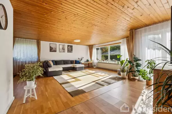 Stue med trægulv og træloft, indeholder en hjørnesofa og et tæppe på gulvet. Rummet er lyst med store vinduer, pyntet med flere potteplanter og vægkunst.