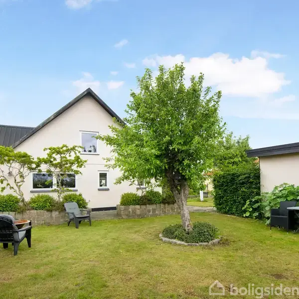 Et fritstående træ står på en grøn græsplæne foran et hvidt hus med skråt tag. Der er havemøbler og hække omkring, under en blå himmel.