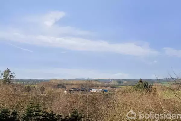 Træer strækker sig over en bakke i forgrunden, mens flere bygninger er synlige i det fjerne under en blå himmel med få skyer.