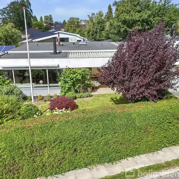En hvidmurret villa med fladt tag omgivet af en velplejet have med buske og et stort træ. Tætklippet hæk adskiller ejendommen fra fortovet. Solpaneler ses på taget af nabohuset.
