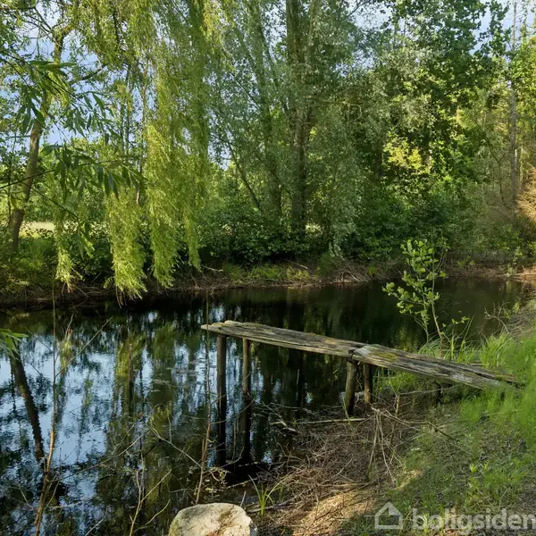 Et lille træbrostykke strækker sig over en stille sø, omgivet af tætte, grønne træer og buske. Sollys filtrerer gennem løvet og kaster bløde skygger på vandets overflade.