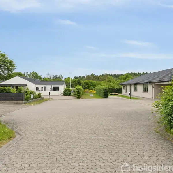 En bred indkørsel mellem to moderne enetages huse med flade tage. Grønt buskads og træer omgiver området, under en blå himmel med let skydække.