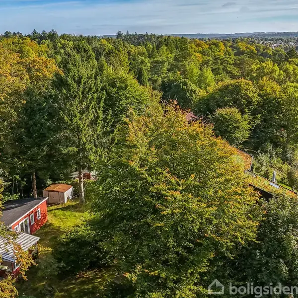 Et rødt hus ligger stille i en tæt, grøn skov med udsigt til en sø i det fjerne. Skoven omgiver huset fuldstændigt.