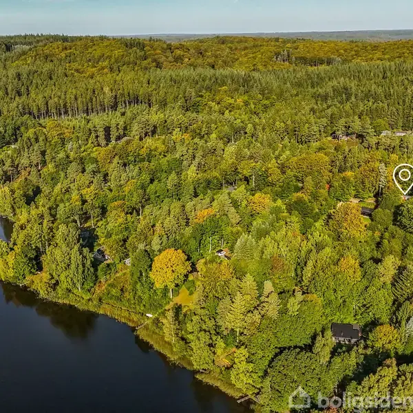 Skovområde strækker sig langs en søbred. Omkringliggende frodige træer danner tæt skovlandskab, mens en markeret placering indikerer en bygning skjult blandt grønne blade i lysningen.