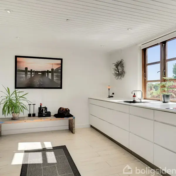 Køkken med hvide, moderne skabe og en sort emhætte, sollys strømmende gennem vinduet. På bænken er en plante og dekorative genstande. Væggen har et fotografi af en mole.