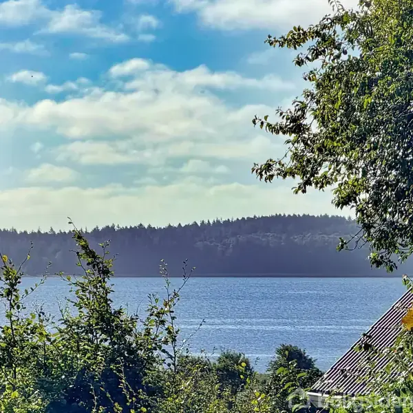 Sø omgivet af frodige træer, med et hus tag delvist synligt i forgrunden. Blå himmel med spredte skyer i baggrunden skaber en rolig naturstemning.