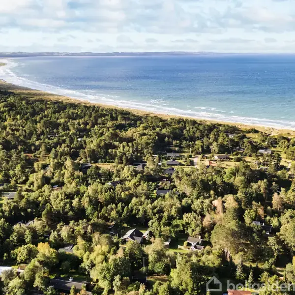 Kyststrækning med frodig skov og spredte huse, strækker sig langs en strand, hvor blå bølger møder kysten. Baggrunden viser en klar himmel.