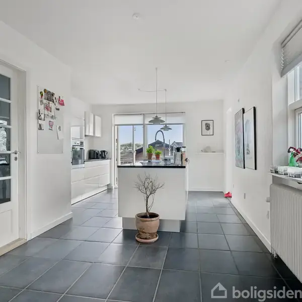 Et moderne køkken i minimalistisk stil, med et centralt placeret køkkenbord, omgivet af hvide skabe. Et lille træ i en potte dekorerer gulvet. Store vinduer lukker lys ind.