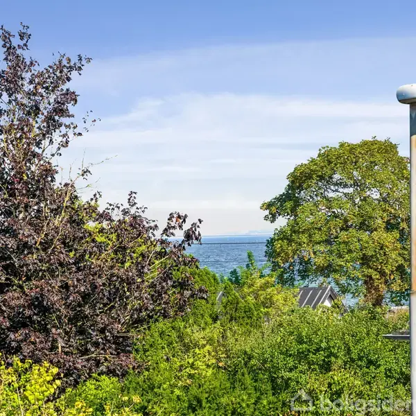 Træer og buske står frodigt i en have med udsigt over en blå himmel og hav. En gadelampe ses til højre, og et hus anes i baggrunden.