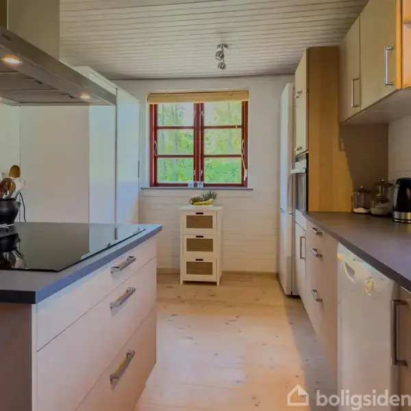 Et moderne køkken har en induktionskogeplade og emhætte. Omkring er der lyse træskabe og hvidevarer. Et rødt vindue tillader udsigt til grønt udenfor.