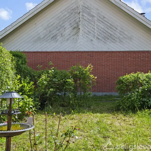 Et fuglebad står i en grøn have foran en husmur af rød mursten. Haven er omgivet af buske og hegn under en blå himmel med skyer.