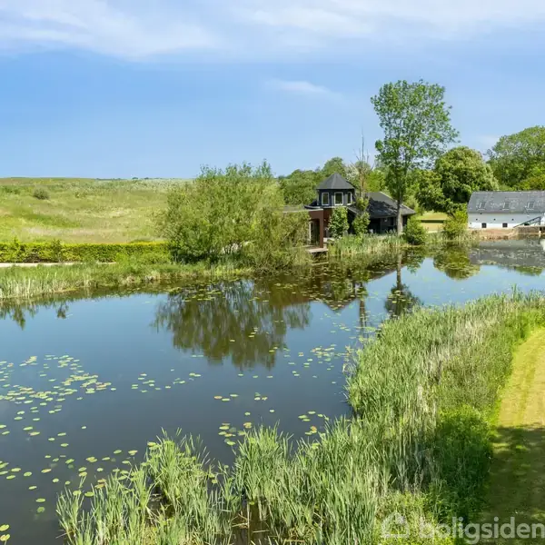 En sø med åkander reflekterer himlen; omkring søen ligger græsarealer og træer. I baggrunden ses to huse omgivet af grønne buske og træer under en blå himmel.