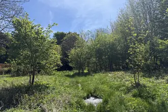 Helårsgrund på Røsnæsvej 379, 4400 Kalundborg