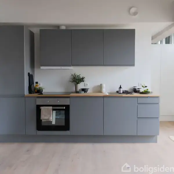 Gråt køkkenskab, intet synlig handling, moderne køkken med planter og køkkenudstyr på bordpladen, lys og rummelig indretning.