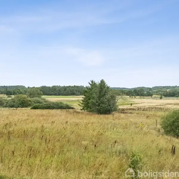 Græsareal strækker sig ud i det fjerne, omgivet af spredte træer og buske. I horisonten ses en skov mod en klar, blå himmel.