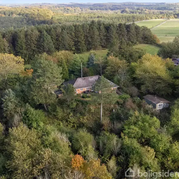 Et hus ses fra oven omgivet af tæt skov og grønne træer. Det ligger i et frodigt skovområde med åbne marker i baggrunden.